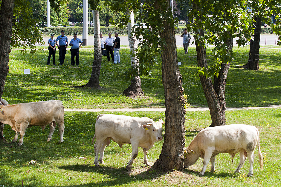 CROPIX/Tomislav Krišto