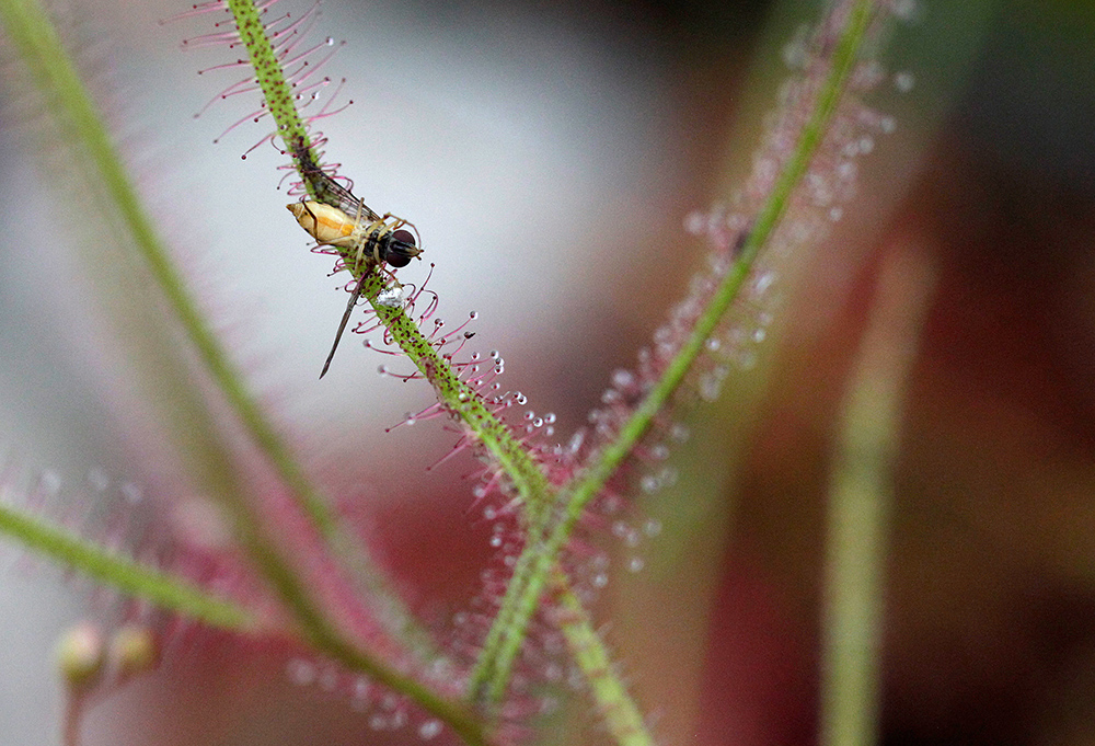 REUTERS/Luisa Gonzalez
