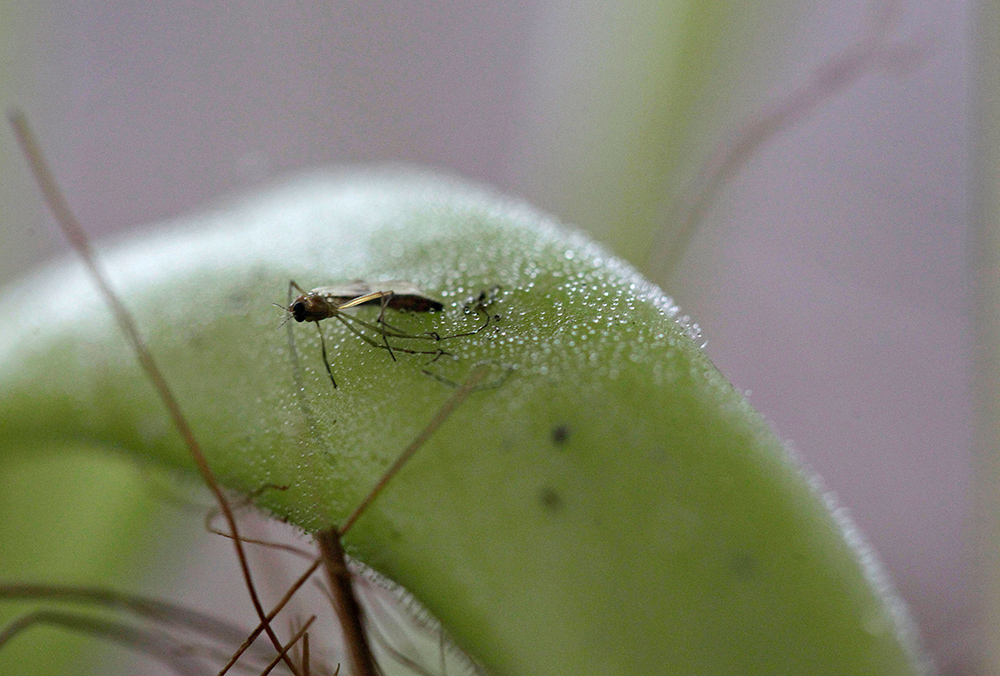 REUTERS/Luisa Gonzalez