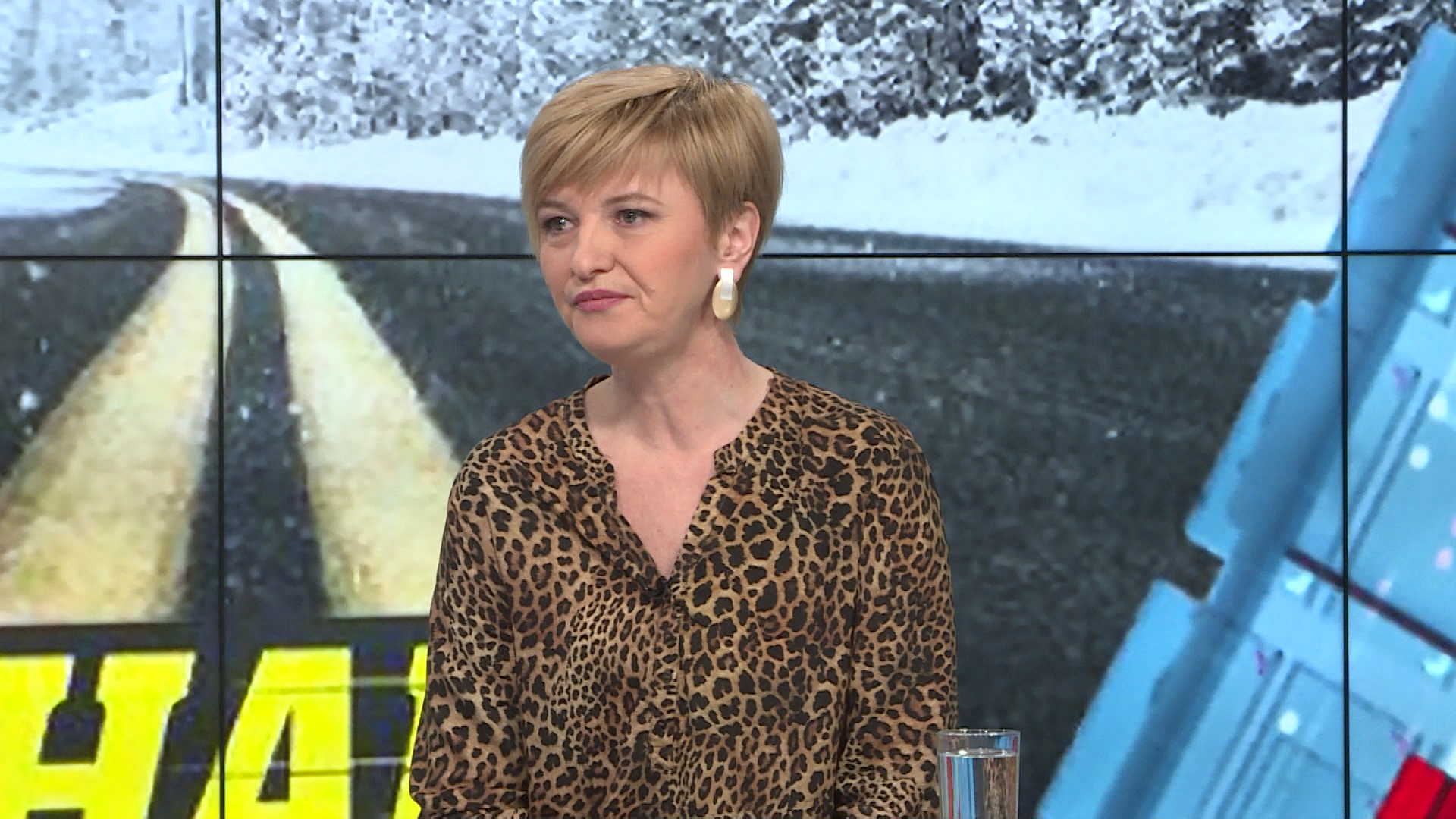 Bisera Hašimbegović