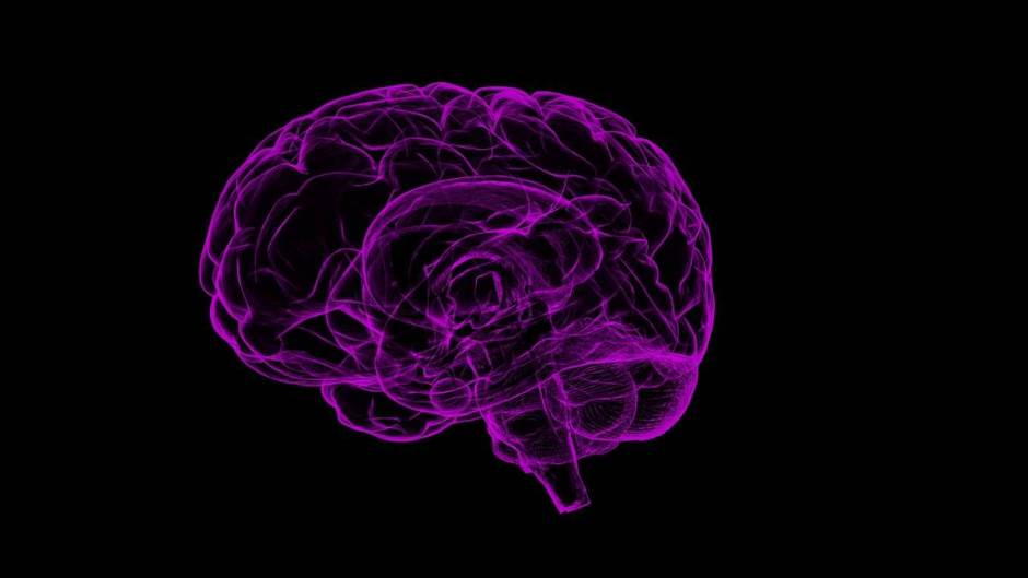 brain-1787622_1280