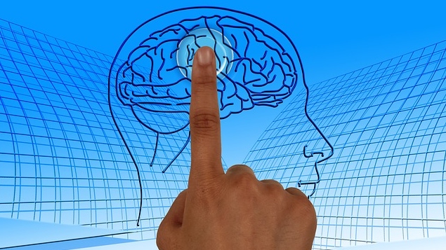 brain-770044_640
