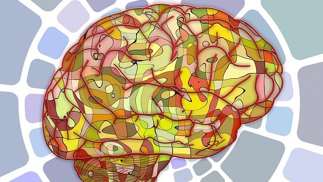 brain-951847_640