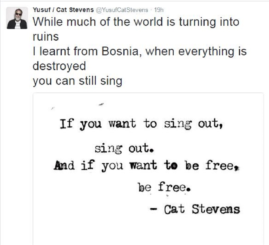 cat-stevens-75582.jpeg