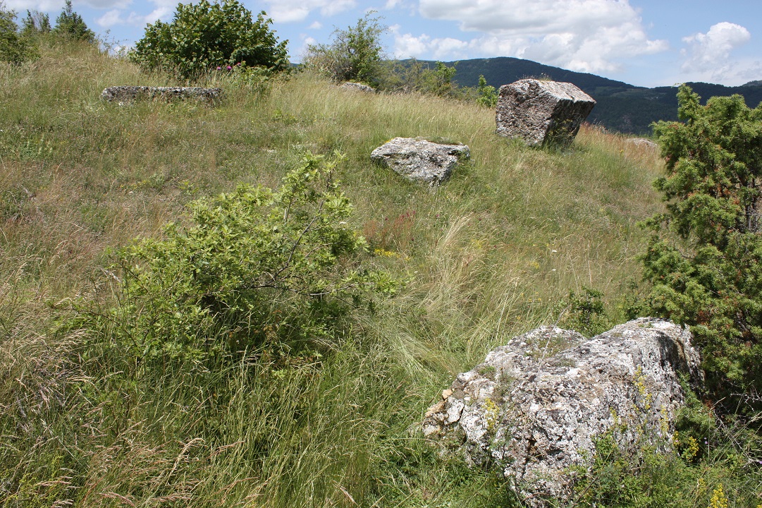 Povjerenstvo za očuvanje nacionalnih spomenika