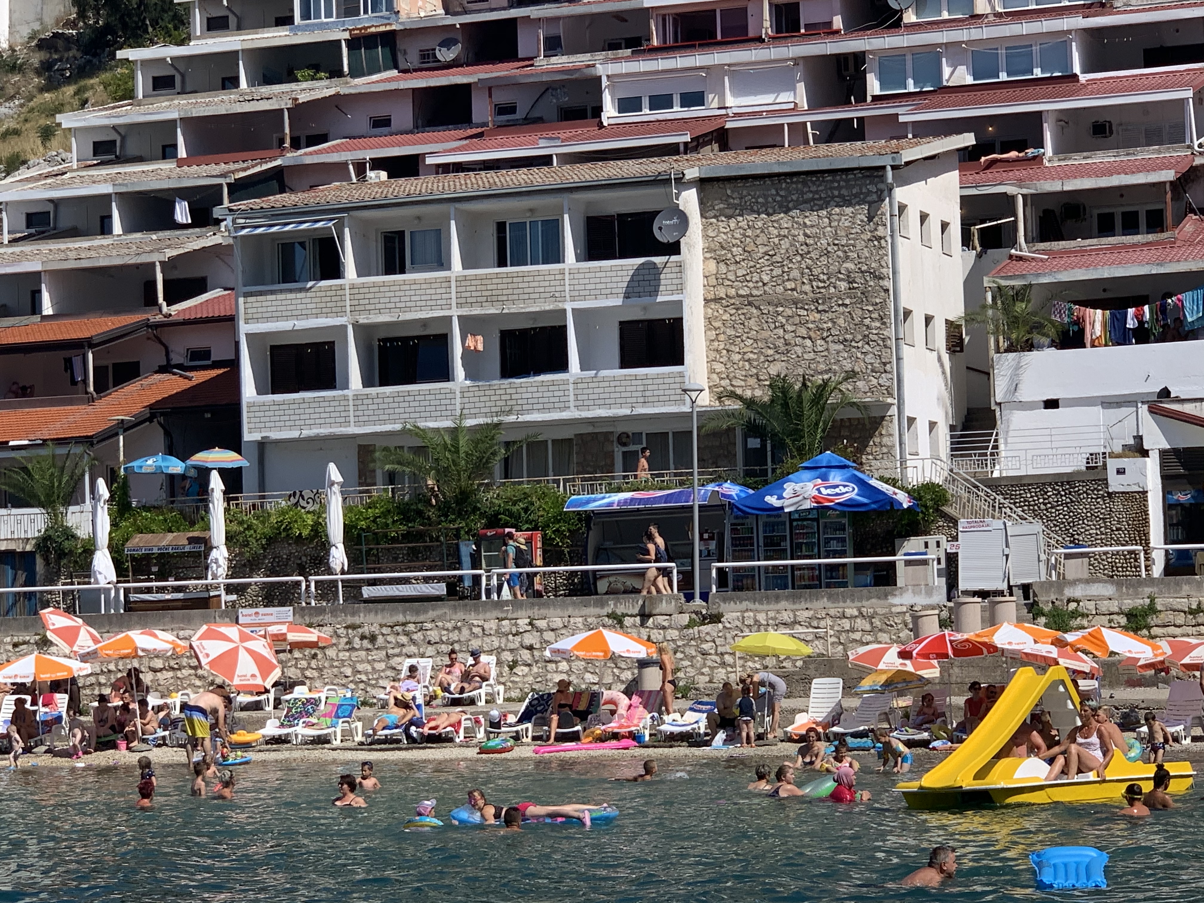 CFF6C9A6-D6BB-4B1D-A169-CE69C5CD1E07