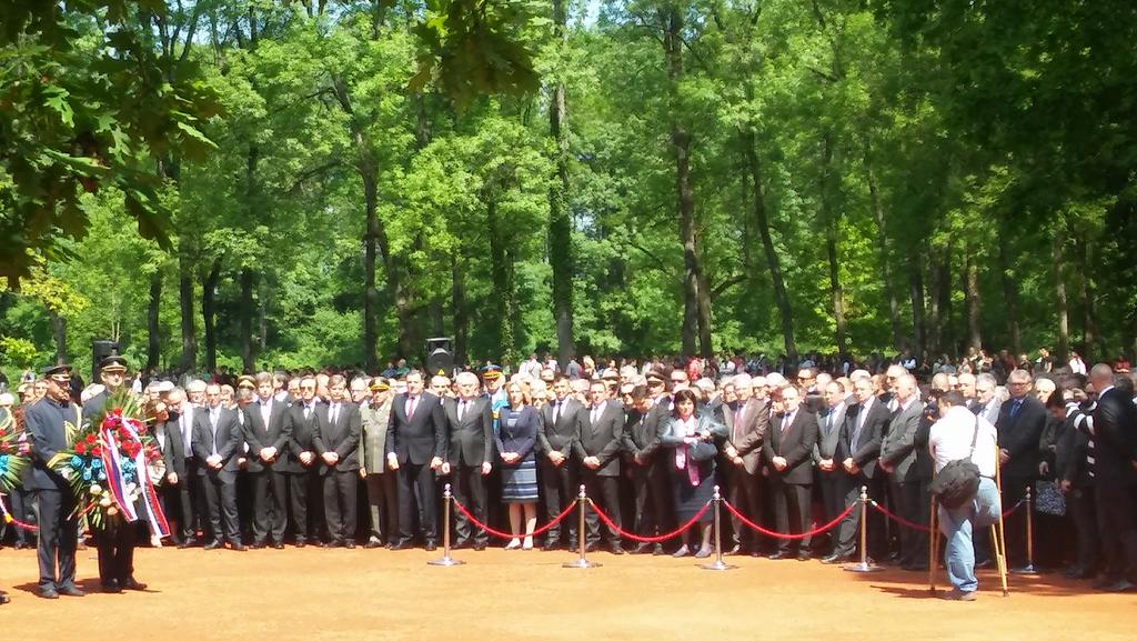 Ch7NelSW0AAOjqw.jpg large