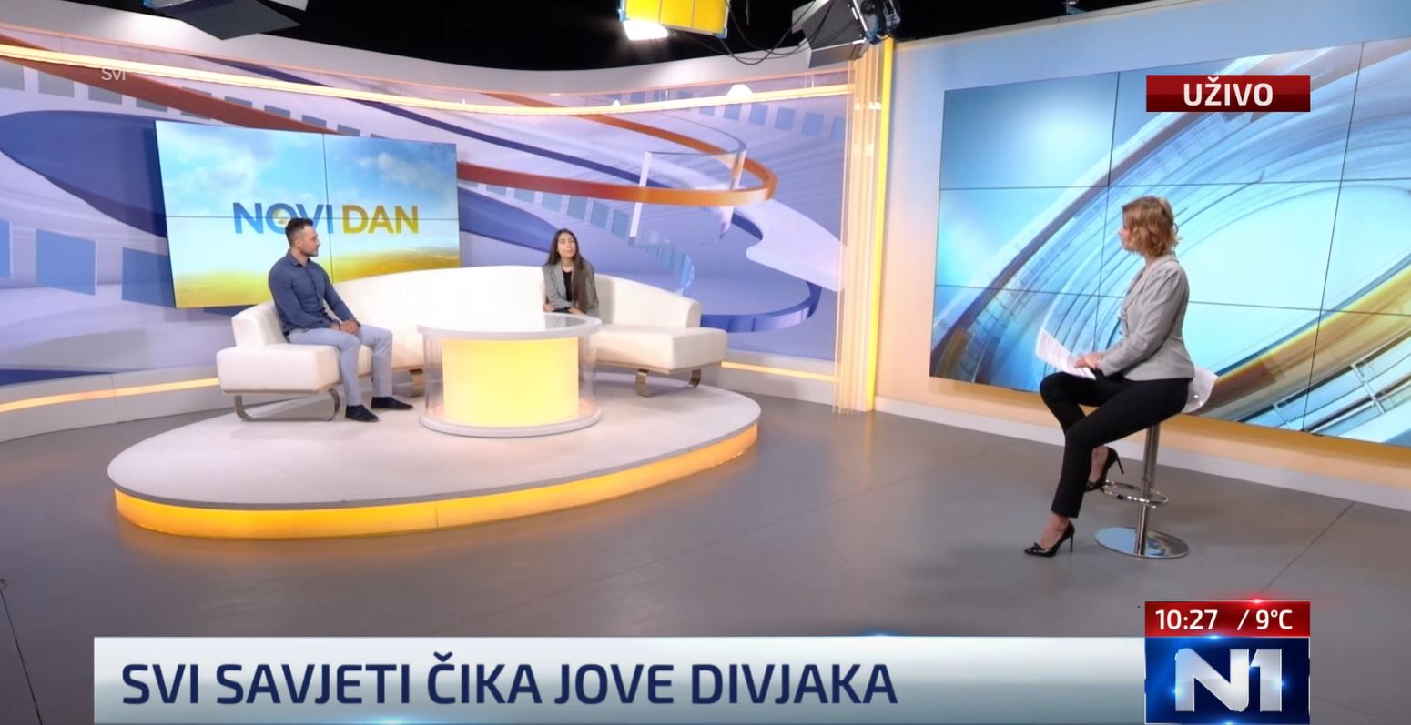 Djeca čika Jove