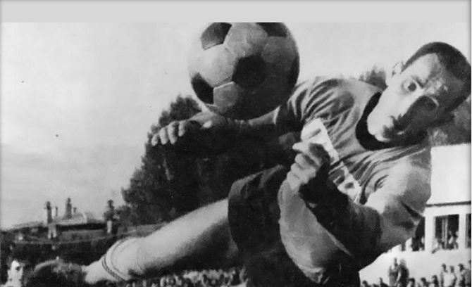 ciko-radovic-229035.jpeg