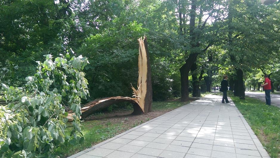 ClIrrCiVEAAsJPG.jpg large