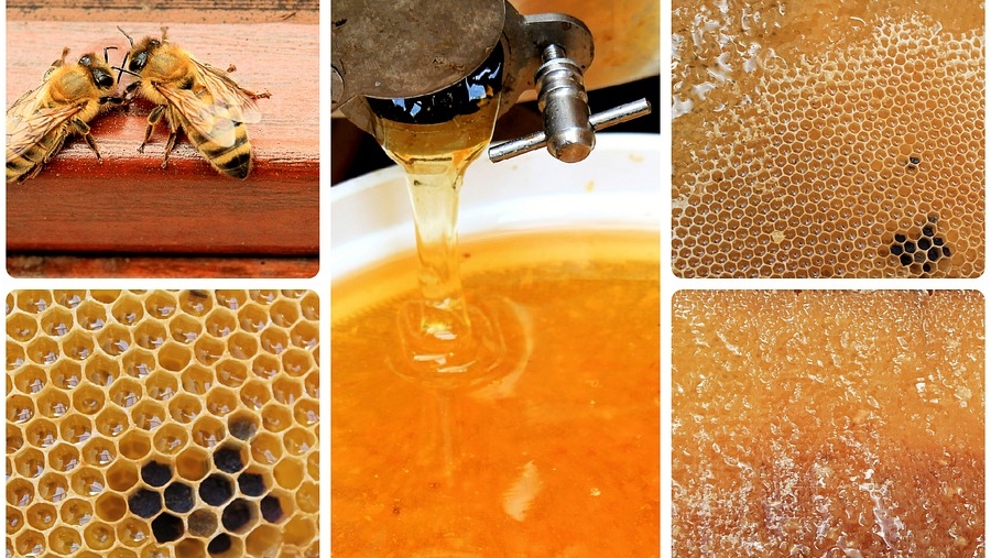 collage-1611166_960_720