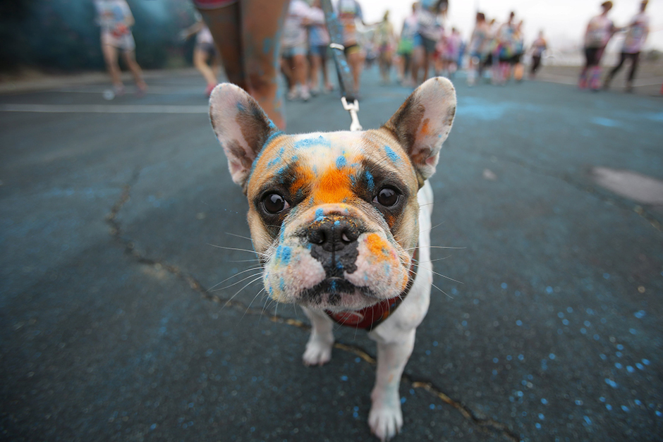 REUTERS/Lucy Nicholson