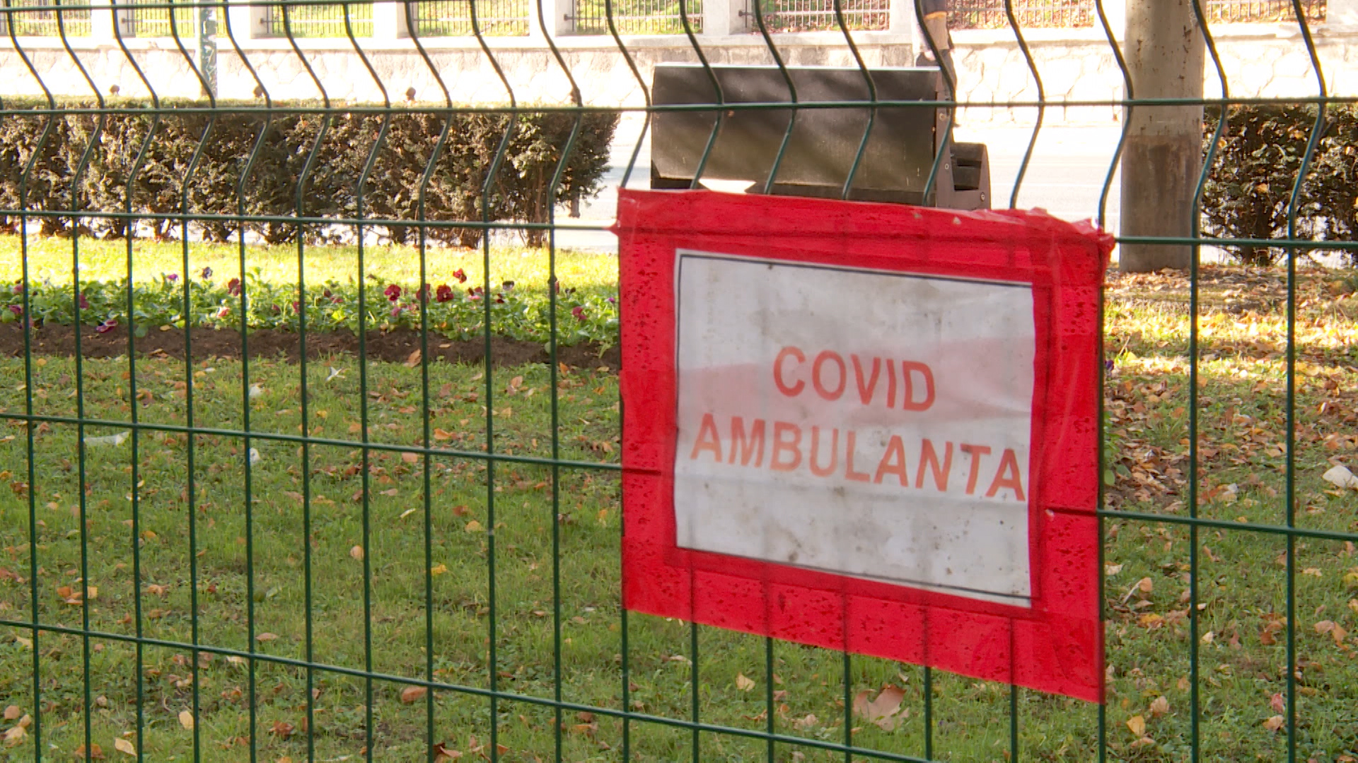 covid