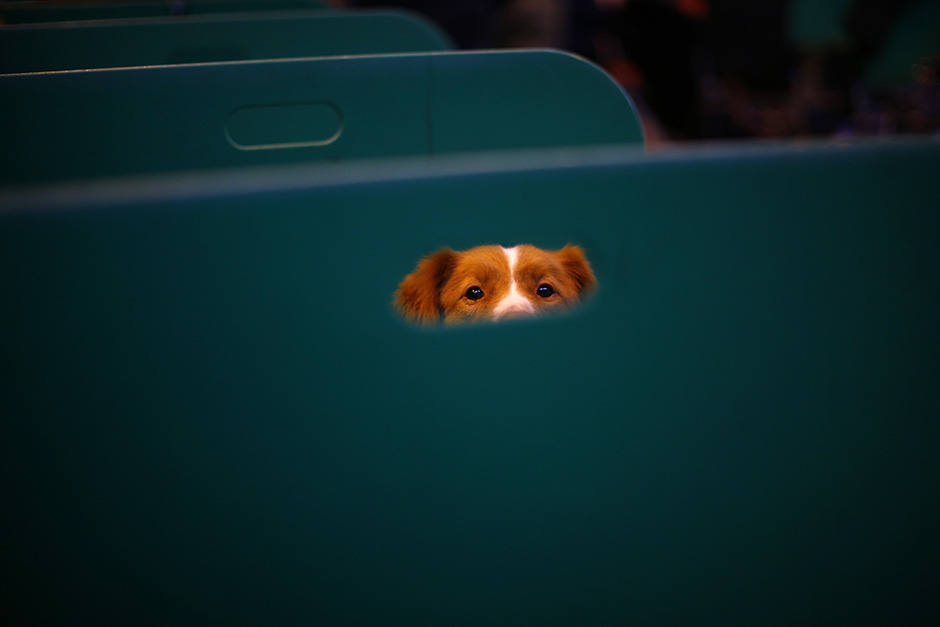 REUTERS/Darren Staples