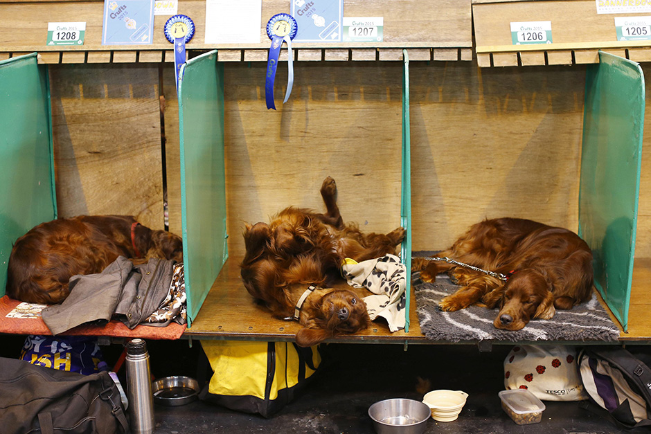 REUTERS/Darren Staples