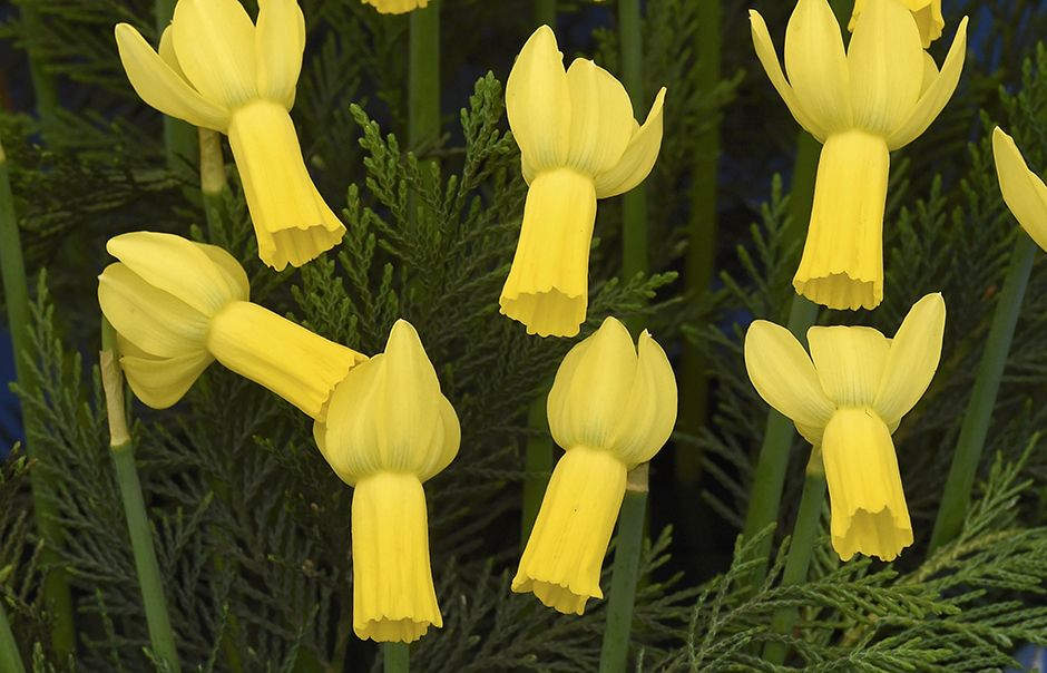 REUTERS/Toby Melville