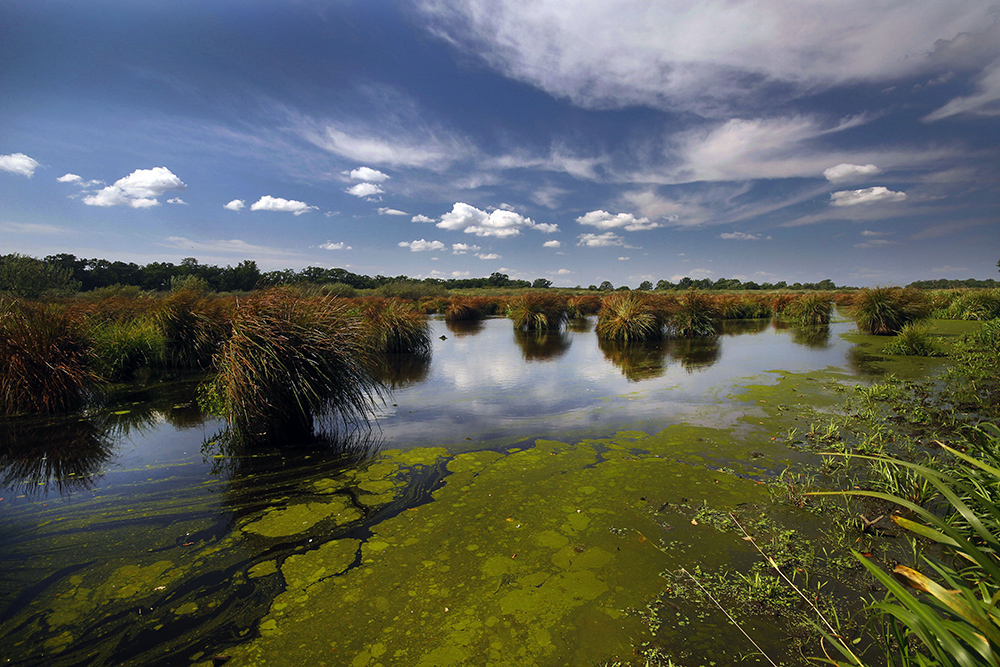 Dan Dunava Foto Tanjug Jaroslav Pap (13)
