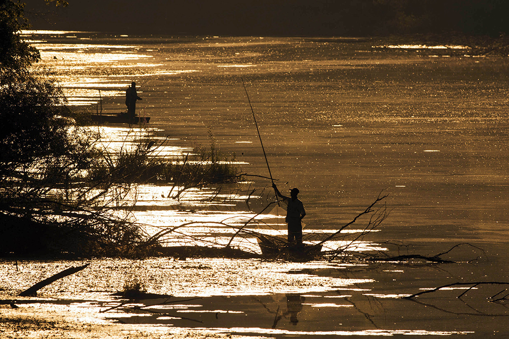 Dan Dunava Foto Tanjug Jaroslav Pap (15)