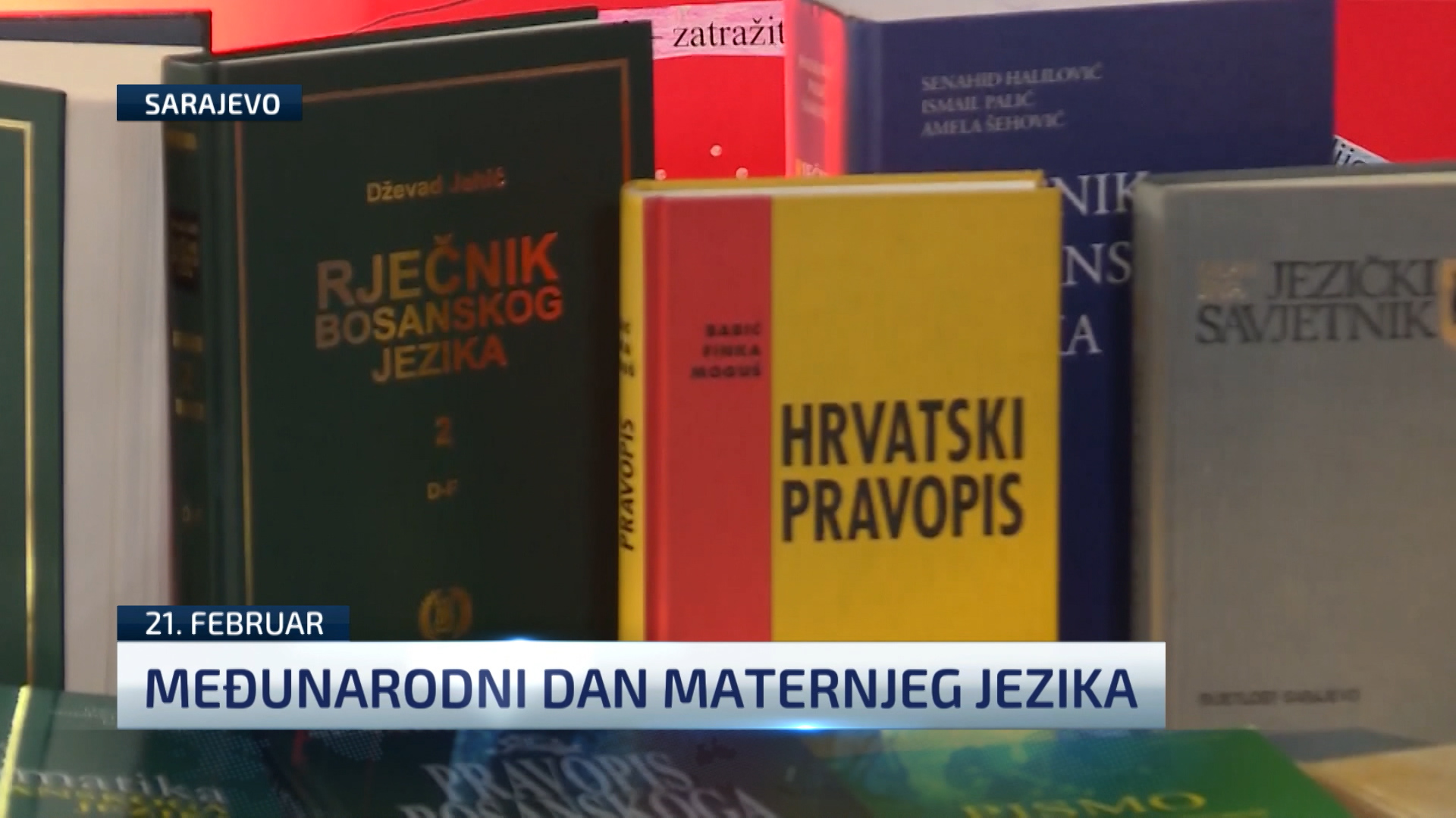 dan maternjeg jezika