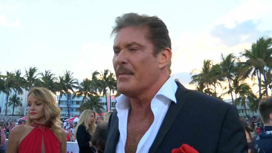 david hasselhoff
