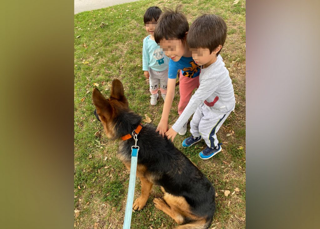 deca-i-mile-1024x731