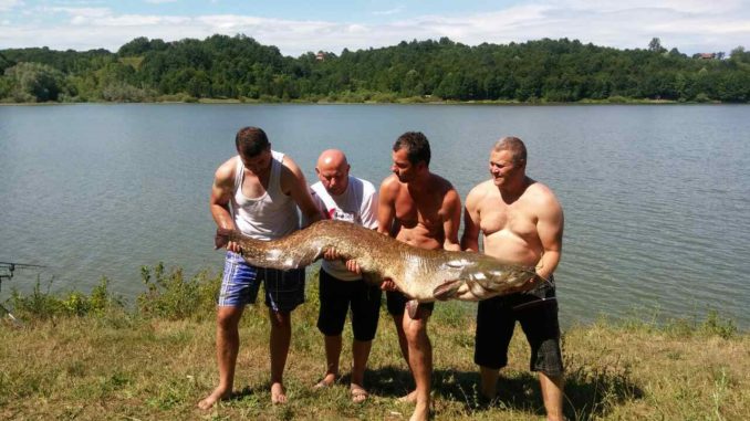 Dejan-Tomašević-678x381