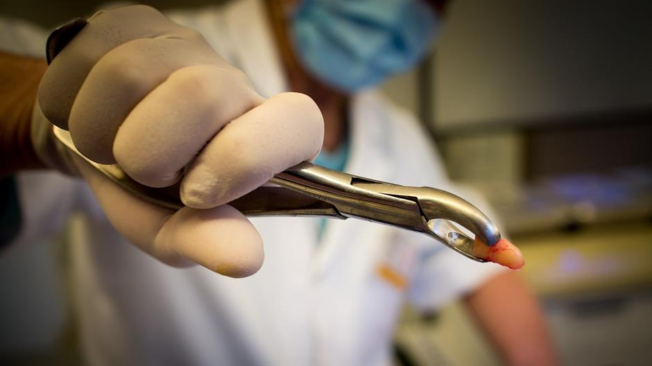 dentist-748154_1920