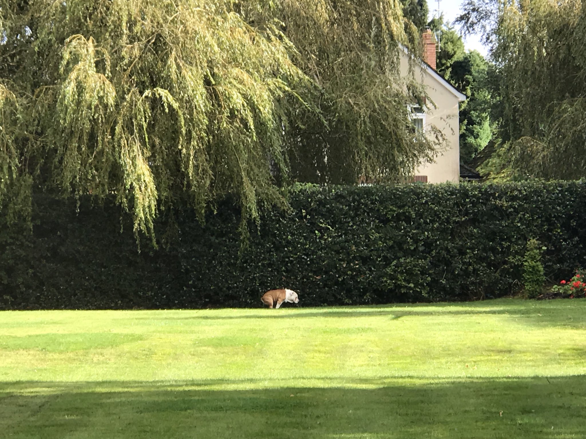 DMHN-yBWsAAflSs.jpg large