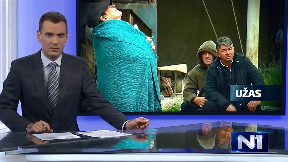 dnevnik