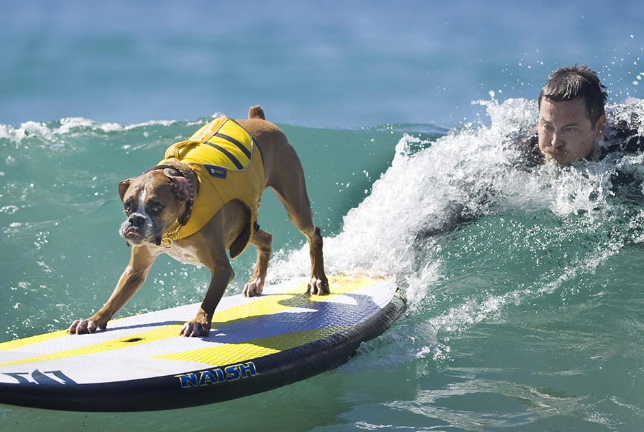 Tanjug/AP/Mindy Schauer