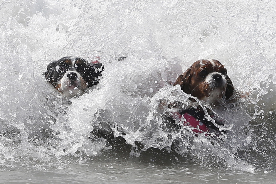 REUTERS/Lucy Nicholson