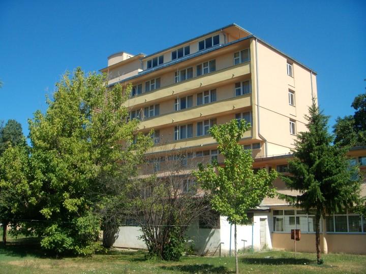 domucenika bijeljina