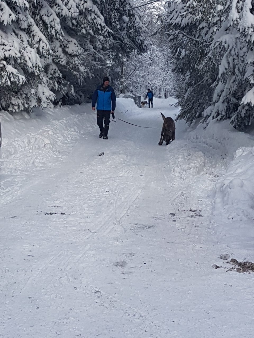 download-15466838858562633038769370901052potraga 3