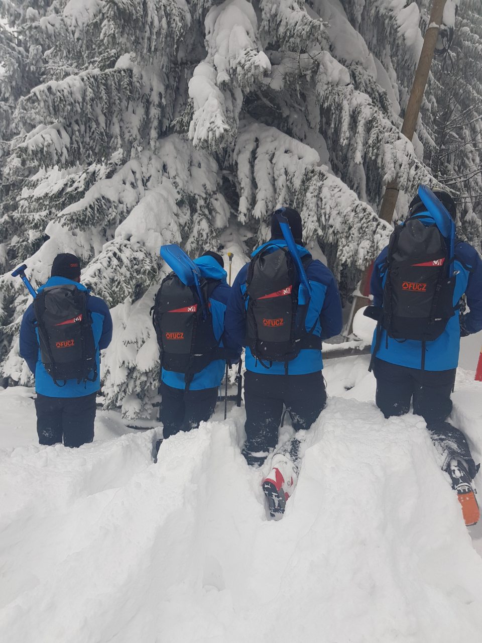 download-15467719631665411755534695386886PonijeriVI