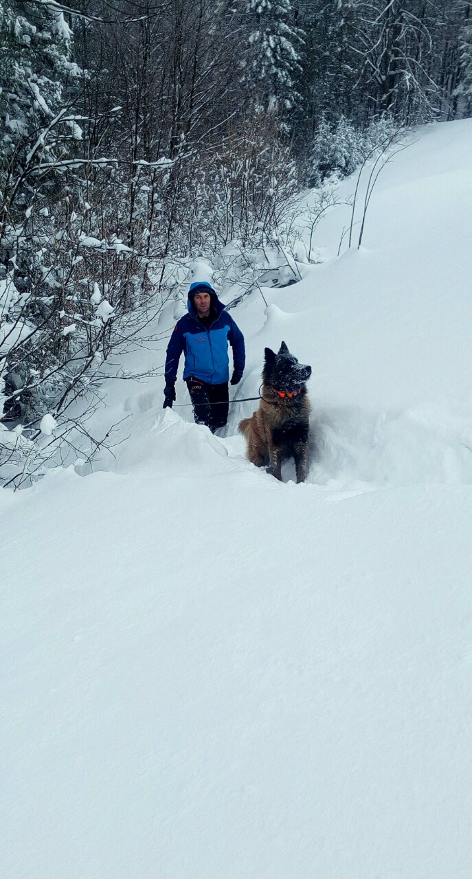 download-15467719917638569305656602788022ponijeriXII