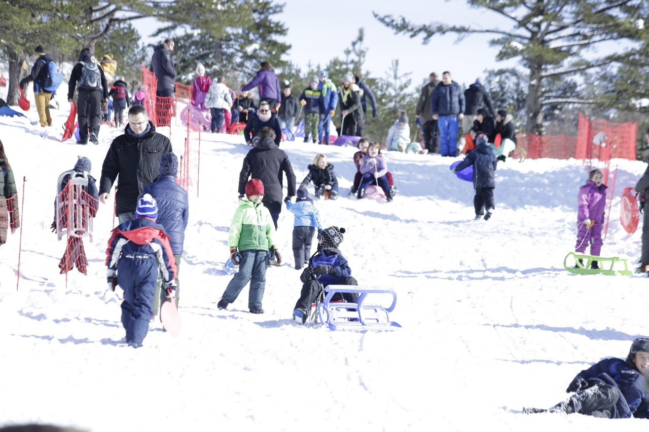 download-1548597184270470058719703378822413