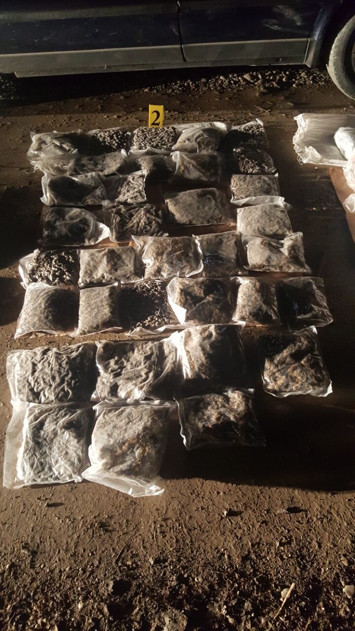 download-15505721462201331299036791912425IMG_7719