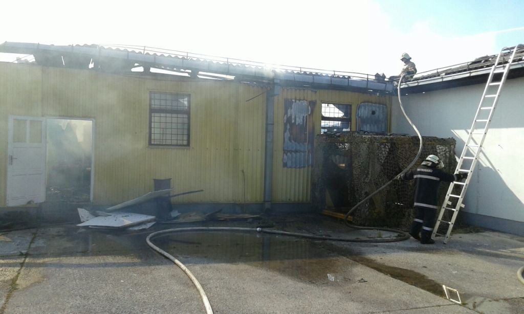 download-15687293102982219796514853000728170919-1