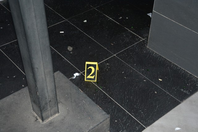 download-15831450867996021182886775050400DSC_2519