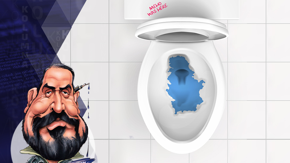 draza petrovic kolumna draza