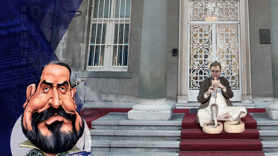 draza-petrovic-kolumna-poster-kobre