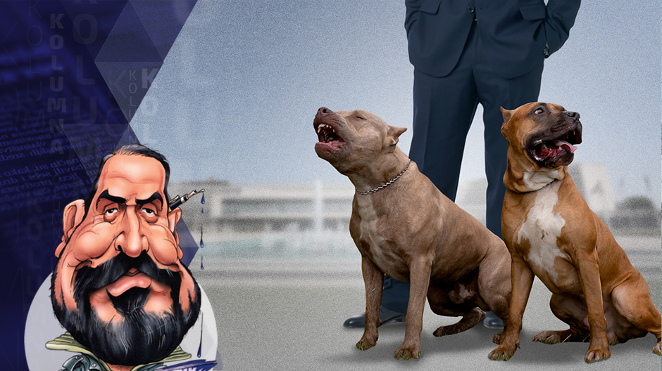 draza-petrovic-kolumna-poster-template-draza-psi