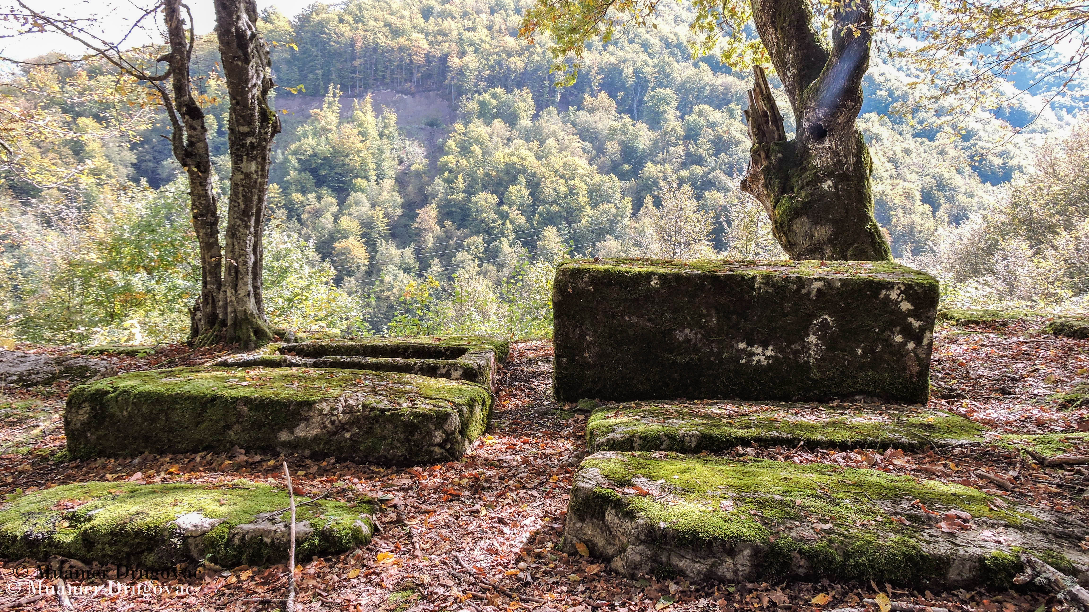 Muamer Drugovac / Avantur