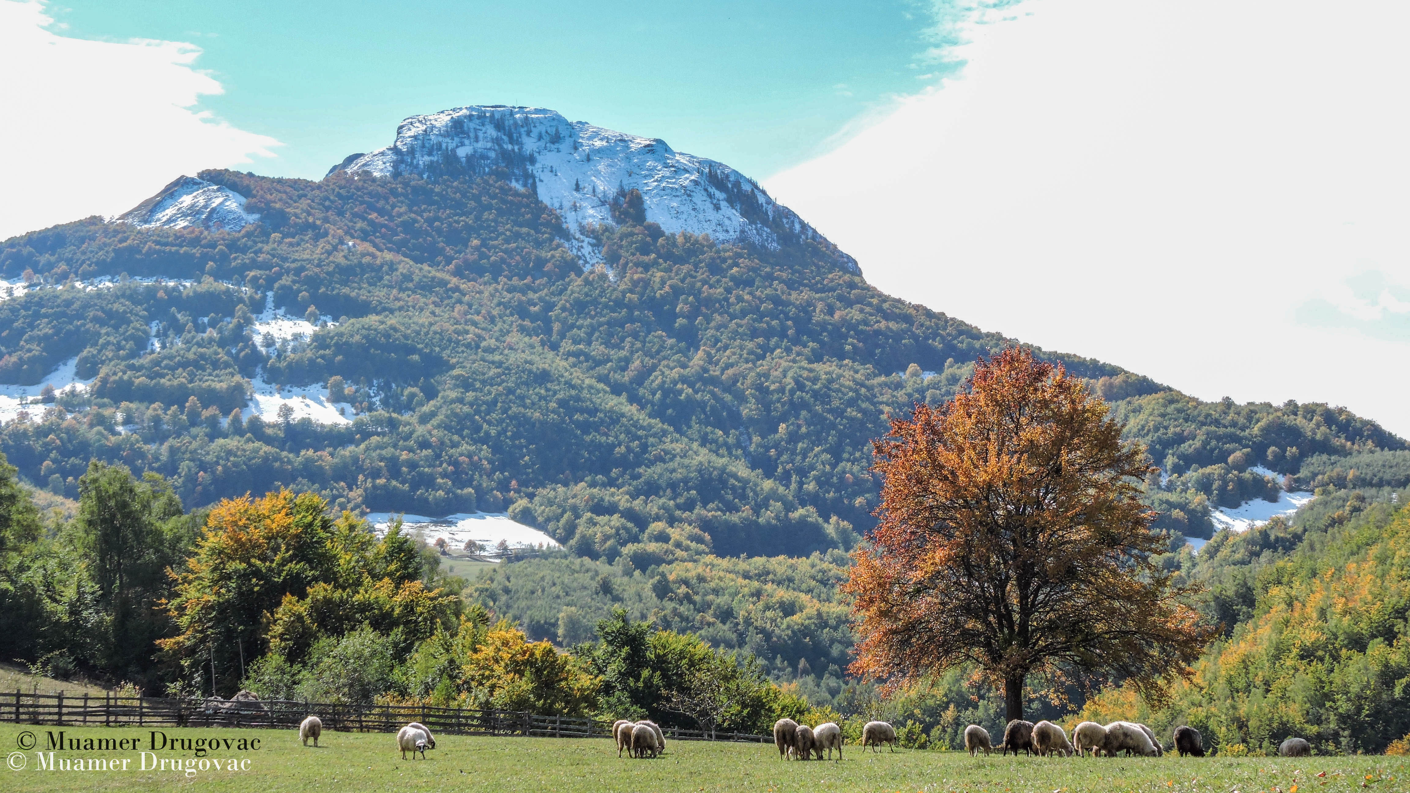 Muamer Drugovac / Avantur