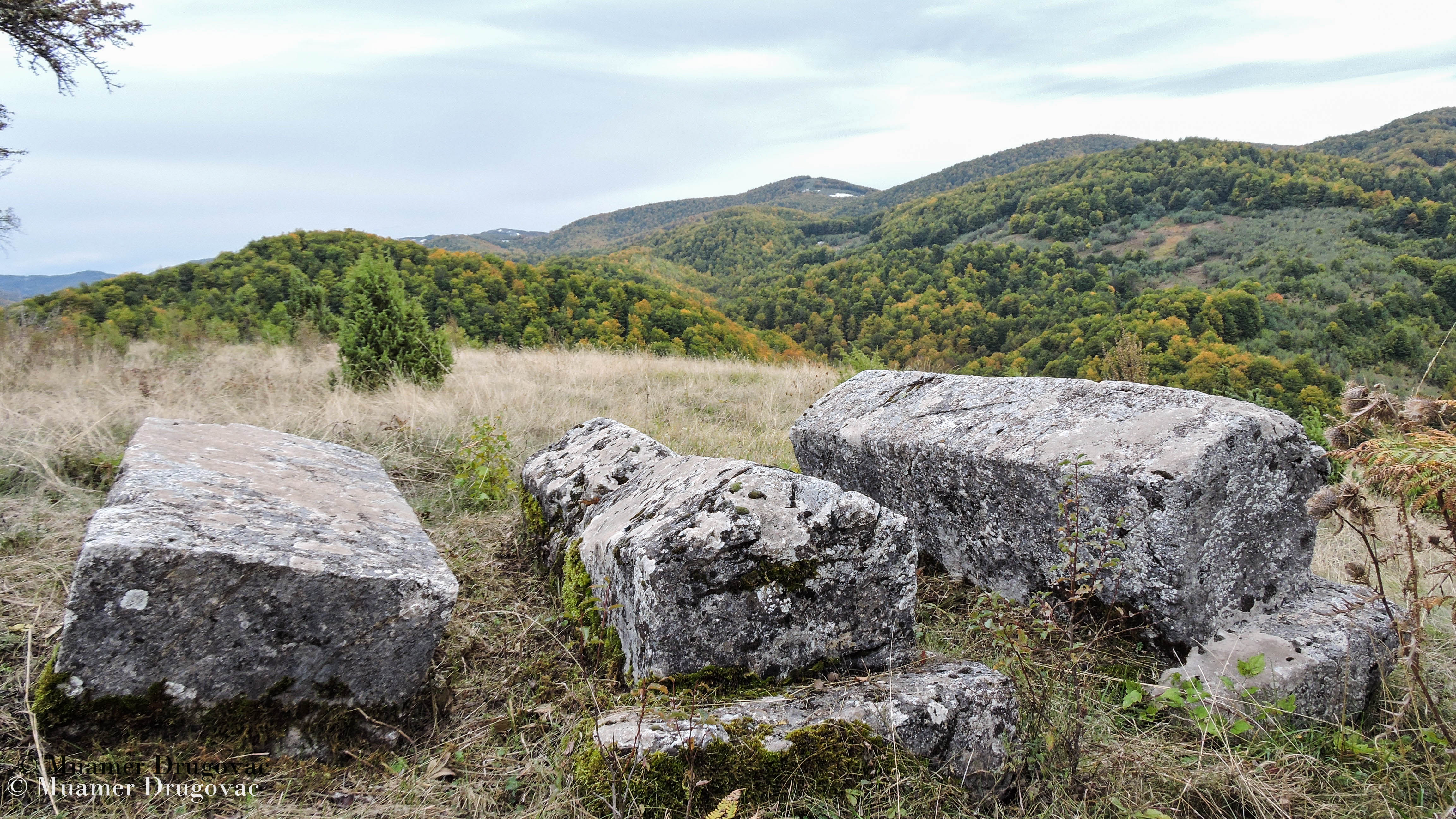 Muamer Drugovac / Avantur