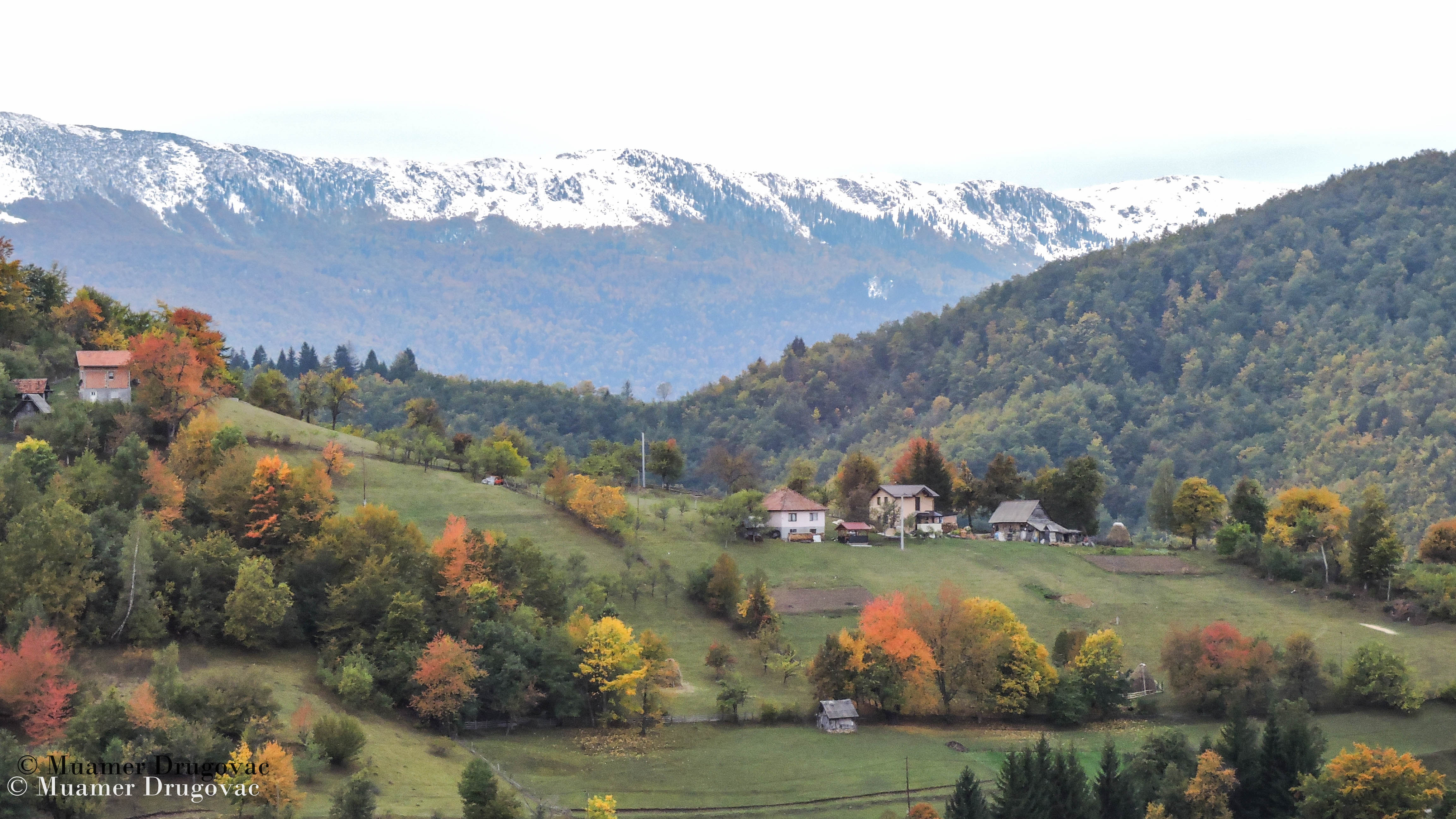 Muamer Drugovac / Avantur