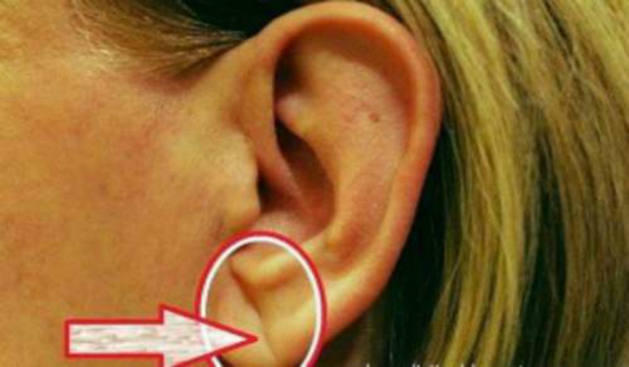 ear-113812.jpeg