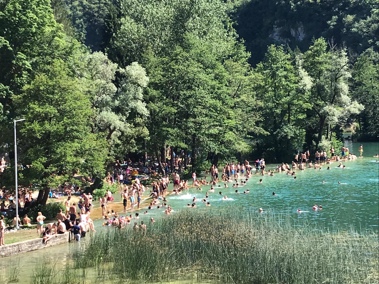 ee1913c8-bbbf-40c9-9602-a0f41bc72454