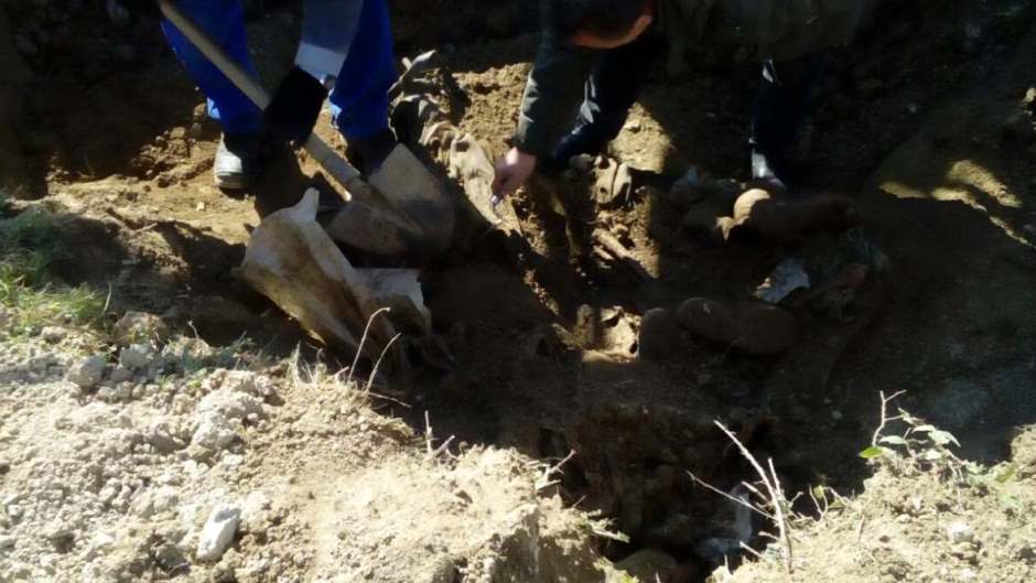 Ekshumacija - Kragljivode 12.11.2020.