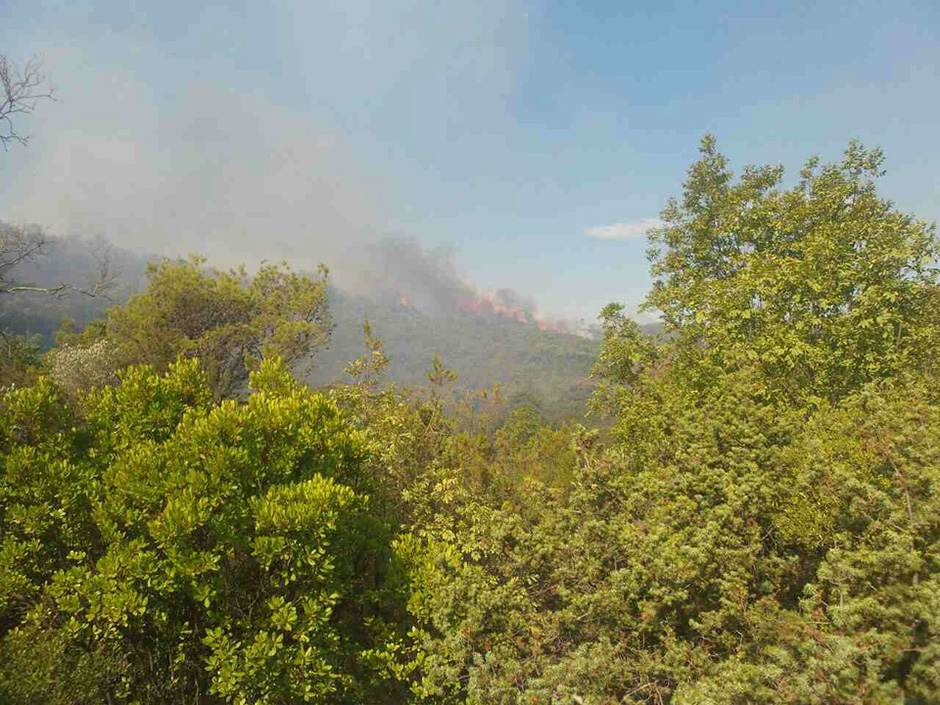 f81a455f18efa70496f180598c8ff163